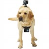 Крепление для собак GoPro Fetch Dog Harness